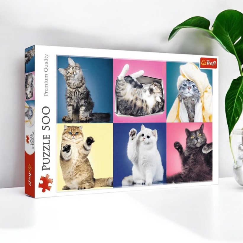 Puzzle 500 Piese Kittens