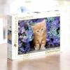 PUZZLE PIESE X GINGER CAT ()